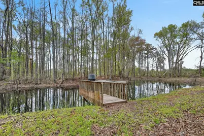 3643 Char-Augusta Road, Bamberg, SC 29003 - Photo 43