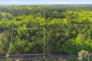 Buck Dr, Hopkins, SC 29061 - Photo 1