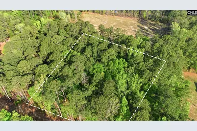 Buck Drive, Hopkins, SC 29061 - Photo 3