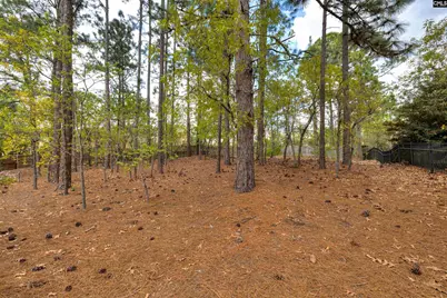 91 Old Still Road, Columbia, SC 29223 - Photo 47