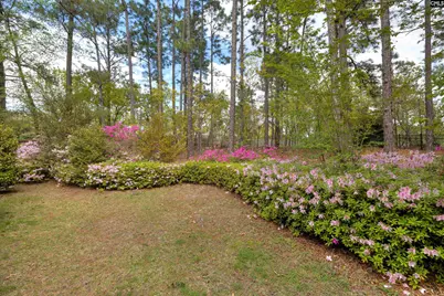 91 Old Still Road, Columbia, SC 29223 - Photo 45