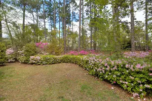 91 Old Still Rd, Columbia, SC 29223 - Photo 45