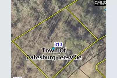 313 Chesterfield Court, Leesville, SC 29070 - Photo 1