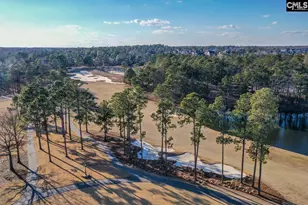 553 Jacobs Mill Pond, Elgin, SC 29045 - Photo 69