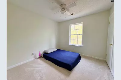 201 Cedar Branch Court, Gilbert, SC 29054 - Photo 19