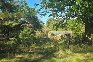 0000 St Barnabas Church Rd, Jenkinsville, SC 29065 - Photo 1