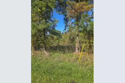 0000 St Barnabas Church Road, Jenkinsville, SC 29065 - Photo 3