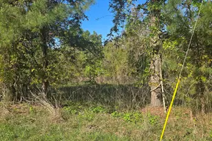 0000 St Barnabas Church Rd, Jenkinsville, SC 29065 - Photo 3