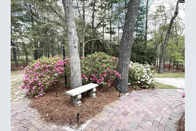 255 E Columbia Club Drive, Blythewood, SC 29016 - Photo 41