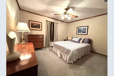 255 E Columbia Club Drive, Blythewood, SC 29016 - Photo 23