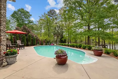 463 Ridge Road, Leesville, SC 29070 - Photo 45