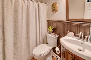 463 Ridge Rd, Leesville, SC 29070 - Photo 43