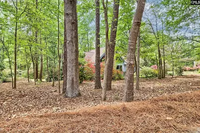 2109 Davie Lane, Camden, SC 29020 - Photo 7