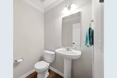 145 Honey Hill Court, Lexington, SC 29072 - Photo 9