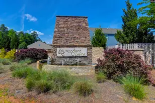 1304 Canopy Crst Ln, Chapin, SC 29036 - Photo 43