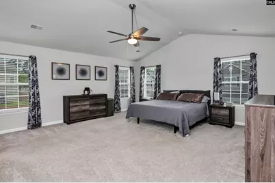 1304 Canopy Crest Lane, Chapin, SC 29036 - Photo 23