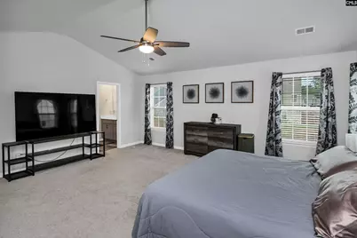1304 Canopy Crest Lane, Chapin, SC 29036 - Photo 25