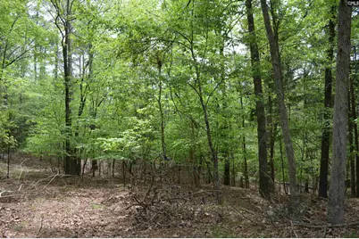 978 Rolling Hills Road, Ridgeway, SC 29130 - Photo 7