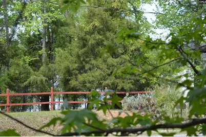 978 Rolling Hills Road, Ridgeway, SC 29130 - Photo 9