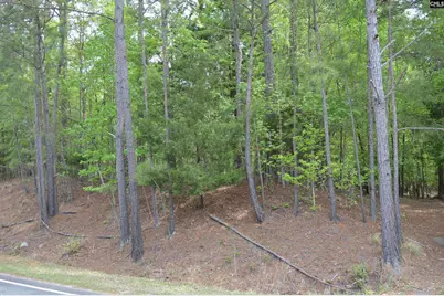 978 Rolling Hills Road, Ridgeway, SC 29130 - Photo 3