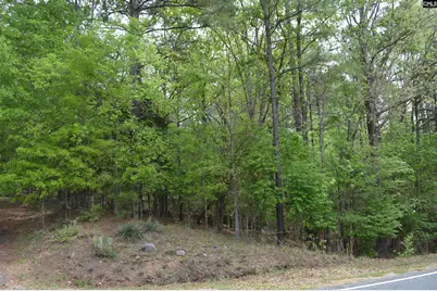 978 Rolling Hills Road, Ridgeway, SC 29130 - Photo 5