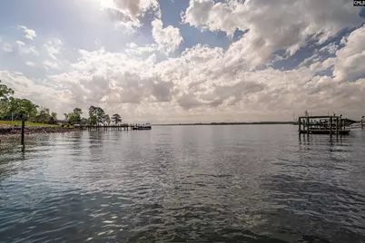 132 Magnolia Key Drive, Chapin, SC 29036 - Photo 51