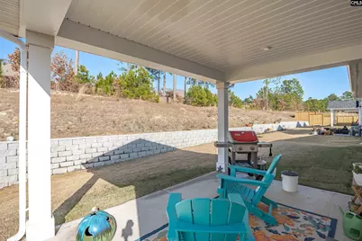 320 Switch Grass Court, Elgin, SC 29045 - Photo 31