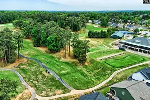 124 Bowyer Ln, Chapin, SC 29036 - Photo 37