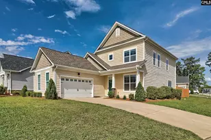 124 Bowyer Ln, Chapin, SC 29036 - Photo 33