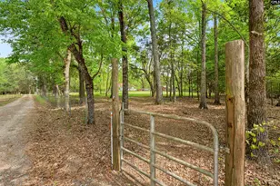1941 Cedar Springs Rd, Blythewood, SC 29016 - Photo 31