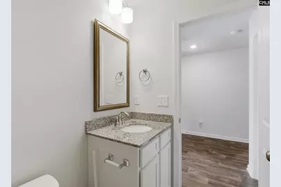 808 Nilo Farms Way, Gaston, SC 29053 - Photo 23