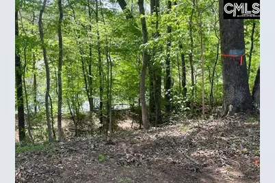 Lot 2 Highway 121, Silverstreet, SC 29145 - Photo 15