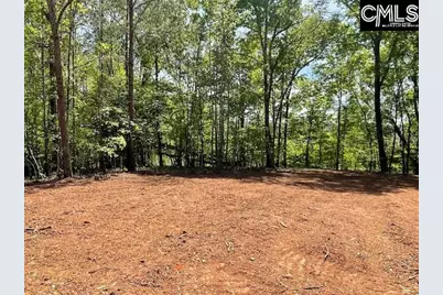 Lot 2 Highway 121, Silverstreet, SC 29145 - Photo 13