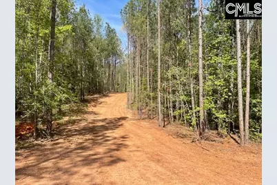 Lot 2 Highway 121, Silverstreet, SC 29145 - Photo 9