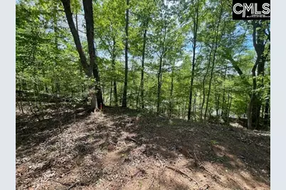 Lot 2 Highway 121, Silverstreet, SC 29145 - Photo 15