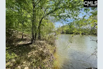 Lot 2 Highway 121, Silverstreet, SC 29145 - Photo 1