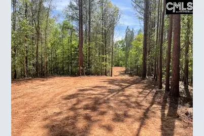 Lot 2 Highway 121, Silverstreet, SC 29145 - Photo 7