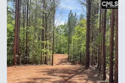 Lot 2 Highway 121, Silverstreet, SC 29145 - Photo 9