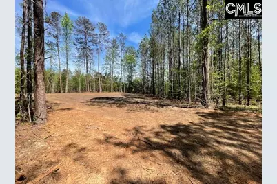 Lot 2 Highway 121, Silverstreet, SC 29145 - Photo 5