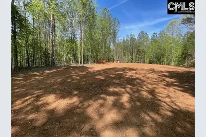 Lot 2 Highway 121, Silverstreet, SC 29145 - Photo 11