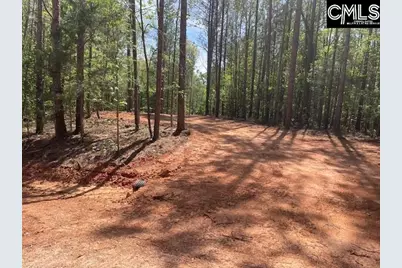 Lot 2 Highway 121, Silverstreet, SC 29145 - Photo 5