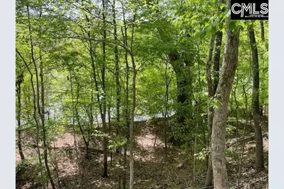 Lot 2 Highway 121, Silverstreet, SC 29145 - Photo 13