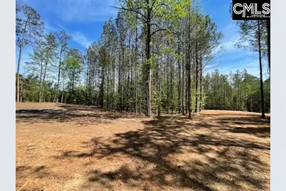 Lot 2 Highway 121, Silverstreet, SC 29145 - Photo 19