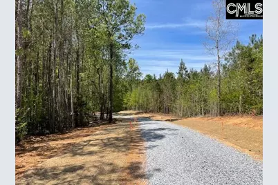 Lot 1 Highway 121, Silverstreet, SC 29145 - Photo 7