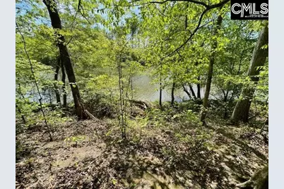 Lot 1 Highway 121, Silverstreet, SC 29145 - Photo 19