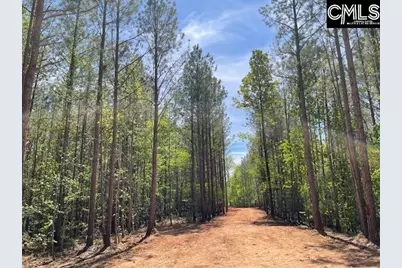 Lot 1 Highway 121, Silverstreet, SC 29145 - Photo 13