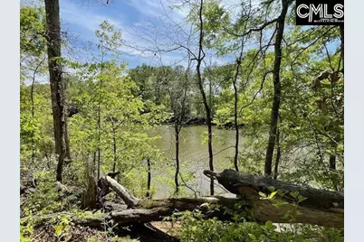 Lot 1 Highway 121, Silverstreet, SC 29145 - Photo 21