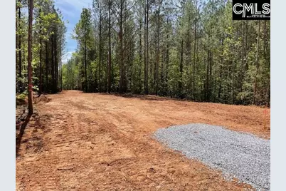 Lot 1 Highway 121, Silverstreet, SC 29145 - Photo 11