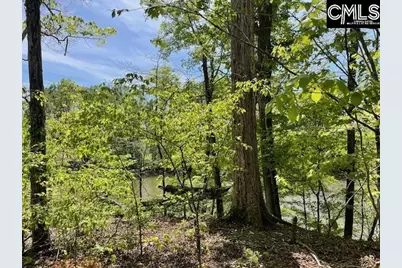 Lot 1 Highway 121, Silverstreet, SC 29145 - Photo 15