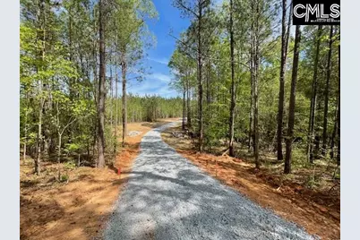 Lot 1 Highway 121, Silverstreet, SC 29145 - Photo 23